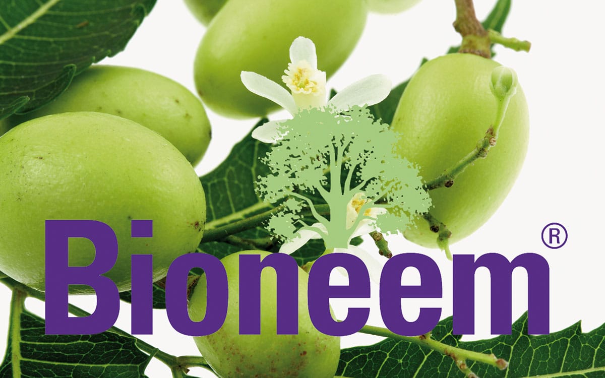 Worki włókninowe z „Bioneem”